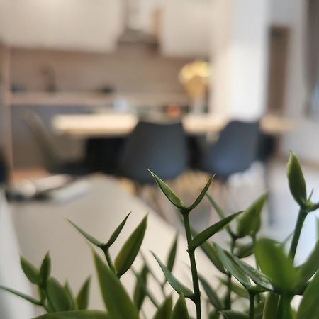 Apartma Bella Nadiza Kobarid Kültér fotó